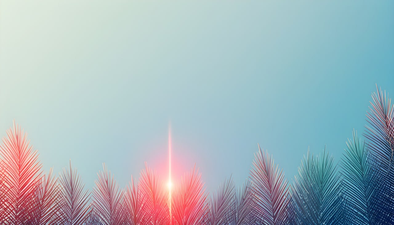 YMT banner image 5